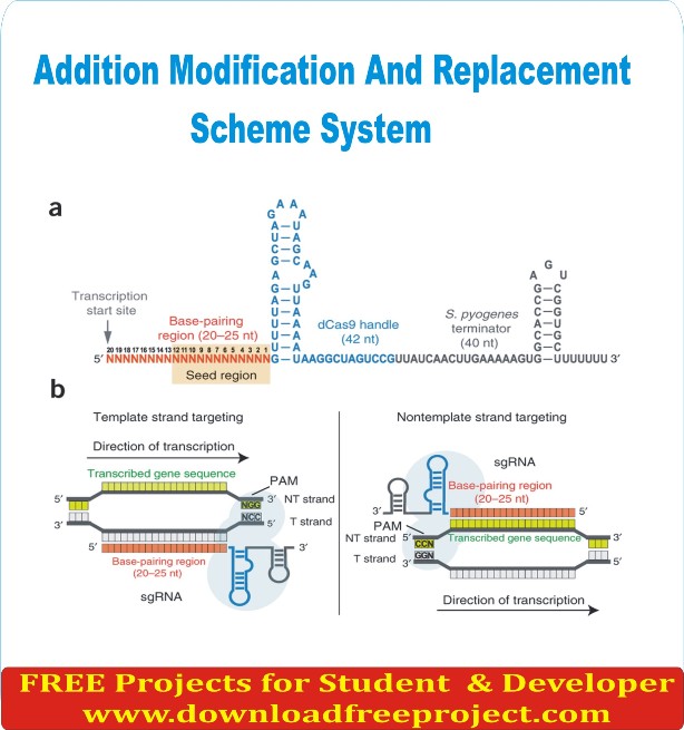 Free Addition Modification And Replacement Scheme System In Java Projects Download