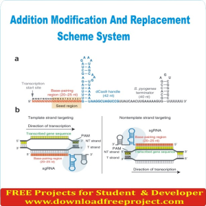 Free Addition Modification And Replacement Scheme System In Java Projects Download