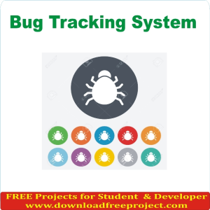 Bug Tracking System
