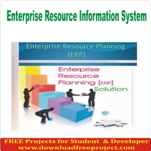 Enterprise Resource Information System
