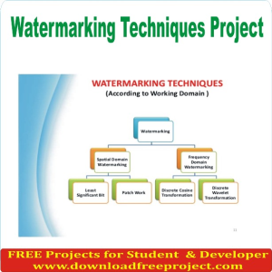 Watermarking Techniques Project